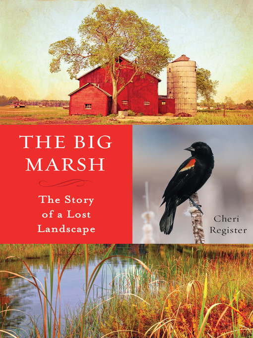 Title details for The Big Marsh by Cheri  Register - Wait list